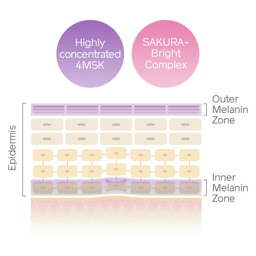 Highly concentrated 4MSK, SAKURA-Bright Complex